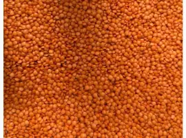 Зображення для оголошення Продам сочевицю червону