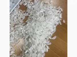 Зображення для оголошення Продам рис среднозерный