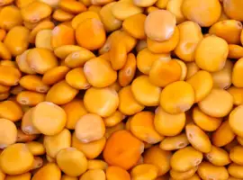 Зображення для оголошення Насіння люпину жовтого ЗОЛОТИЙ КУПОЛ