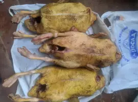 Зображення для оголошення Продам мясо индоутки( шикарный вкус )