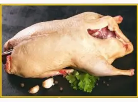 Зображення для оголошення Мясо тушка мускусной утки шипуна индо-утки