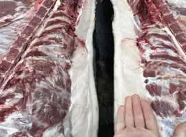 Зображення для оголошення Туші свиней,мʼясо свинини,під замовлення
