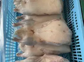Зображення для оголошення Утка Пекин тушка