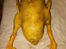 Зображення для оголошення Продам мясо утки, тушка
