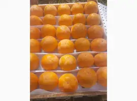Зображення для оголошення Продам гранат
