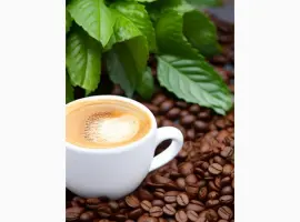 Зображення для оголошення Кофе LAVAZZA Crema RICCA в зернах