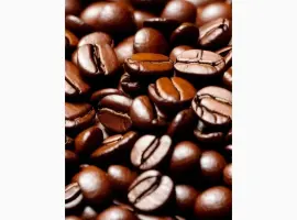 Зображення для оголошення Кофе LAVAZZA Gusto Forte в зернах