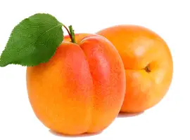 Зображення для оголошення Куплю абрикосы