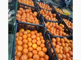 Зображення для оголошення Мандарин Нова