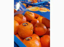Зображення для оголошення Продам Мандарин