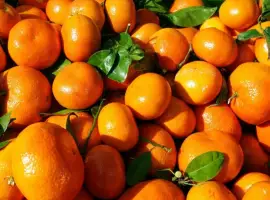 Зображення для оголошення Купуємо мандарини оптом! Київ та область