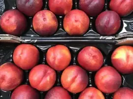 Зображення для оголошення Продаем нектарины