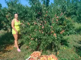 Зображення для оголошення Персик от производителя крупный/мелки опт