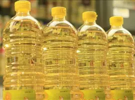 Зображення для оголошення Продам масло подсолнечное рафинированное дезодорированное
