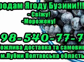 Зображення для оголошення Реалізую бузину свіжу та заморожену! Оптом