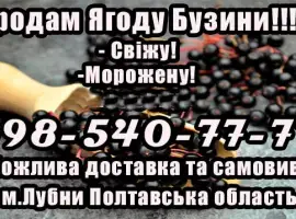 Зображення для оголошення Реалізую ягоду бузини дрібним та великим оптом!Сезон 2025