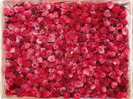 Зображення для оголошення Куплю малину свіжу та заморожену - 90/10