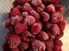 Зображення для оголошення Продам малину заморожену