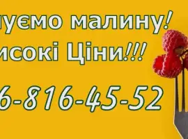 Зображення для оголошення На постійній основі закуповую свіжу малину від населення та заготувачів