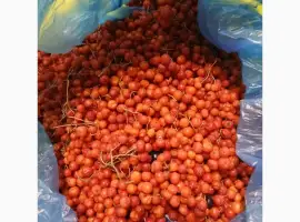 Зображення для оголошення Продам червону горобину заморожену