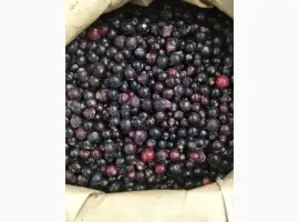 Зображення для оголошення Продам заморожену смородину Б-клас