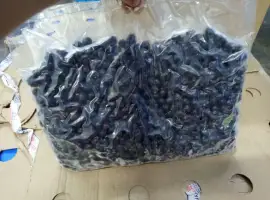 Зображення для оголошення Продам чорну смородину шокової заморозки 2025 р.в