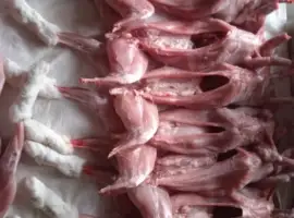 Зображення для оголошення Мясо кроля, тушка кролика