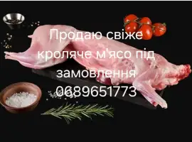 Зображення для оголошення Продам кролики , кролячі тушки