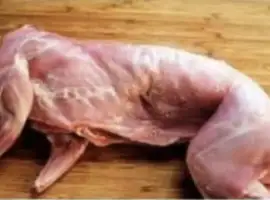 Зображення для оголошення Продам тушку кролика , кролі, м‘ясо кролика.