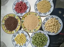 Зображення для оголошення Сухі сніданки кукурудзяні кульки рисові з какао і без