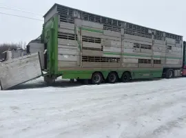 Зображення для оголошення Послуги скотовоза