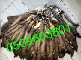 Зображення для оголошення Продам вичинені шкіри куниці лісової