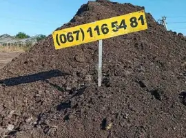 Зображення для оголошення Доставка сипця по Одесі та області недорого