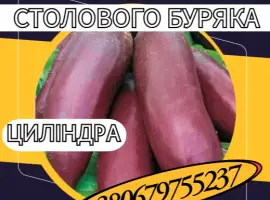 Зображення для оголошення Насіння Столового Буряка Циліндра. Насіння Столового Буряка