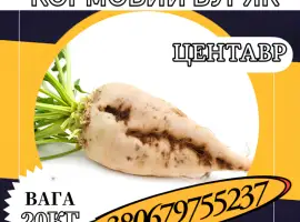 Зображення для оголошення Кормовий буряк Центавр (20 кг)
