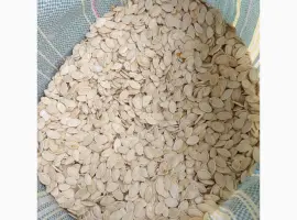 Зображення для оголошення Продам гарбузове насіння