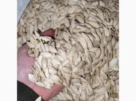 Зображення для оголошення Продам гарбузове насіння ОБ'ЄМ