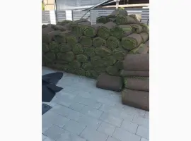 Зображення для оголошення Рулонний газон Преміум