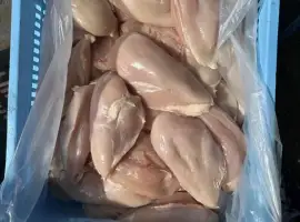 Зображення для оголошення Куряче філе крило гомілка стегно продаж