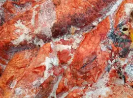 Зображення для оголошення Субпродукти. Легені кінські та яловичі