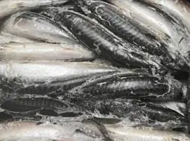 Зображення для оголошення Шукаю постачальника свіжомороженої риби
