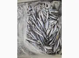 Зображення для оголошення Продам Хамсу