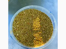 Зображення для оголошення Купити бджолиний пилок