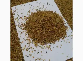 Зображення для оголошення Продам пилок квітковий
