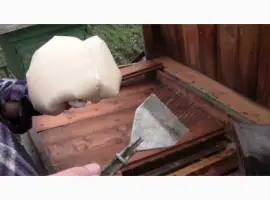 Зображення для оголошення Сахарная пудра для подкормки пчёл. Канди. Для Медовухи предел мечтаний