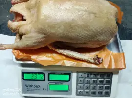 Зображення для оголошення Продажа домашнего мяса гуся и утки, натуральное