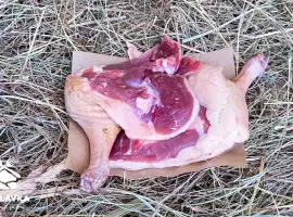 Зображення для оголошення Продажа гусиной ножки, гусятина