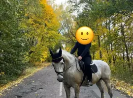 Зображення для оголошення Продаж коня мерина Орловський рисак, 9 років