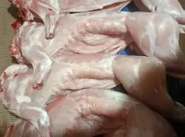 Зображення для оголошення Продается мясо кролика