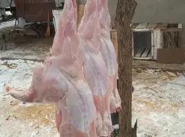 Зображення для оголошення Продажа домашнего мяса кролика